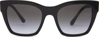 Dolce & Gabbana 0DG 4384 501/8G 53 18642