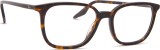 Ray-Ban 0RX5406 2012